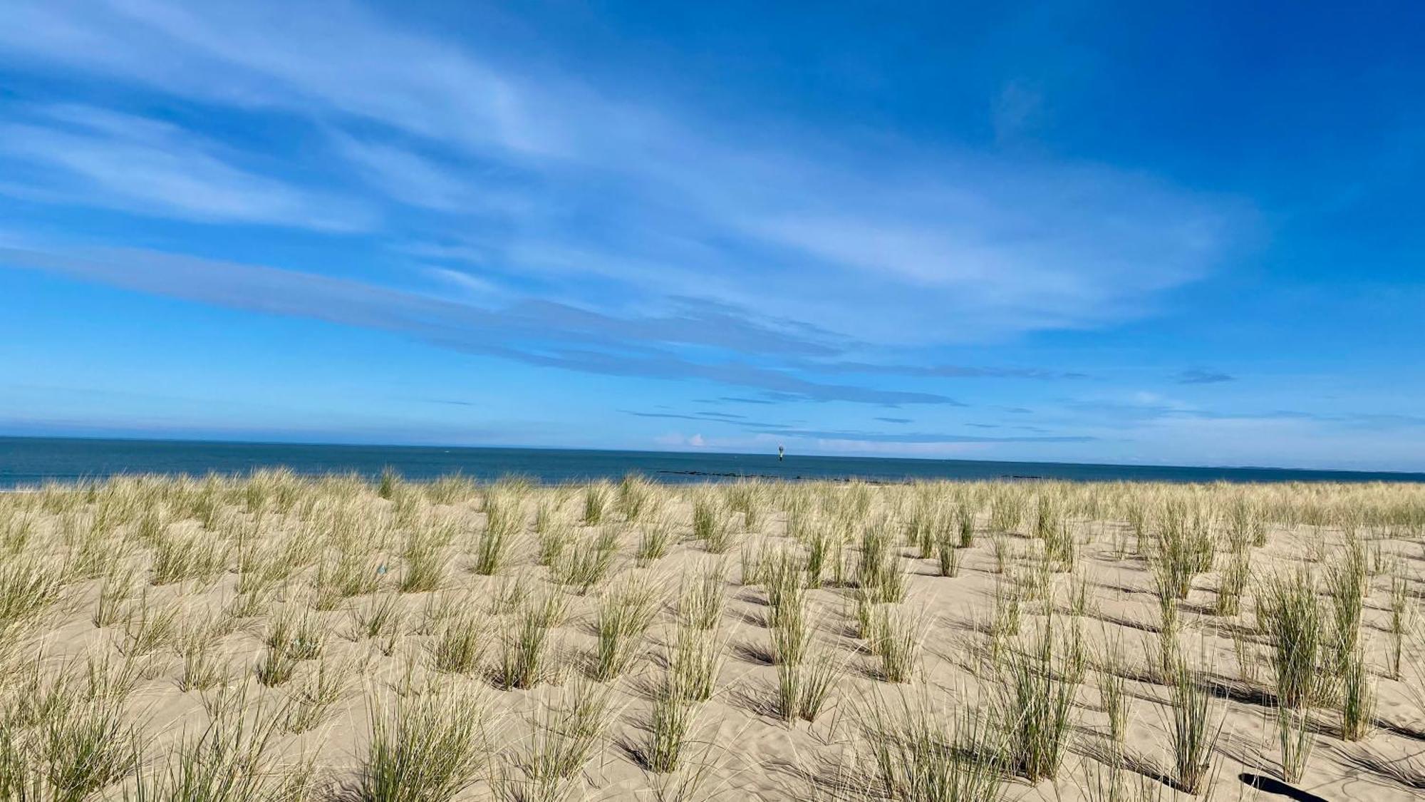 Royal Knokke Appartement Buitenkant foto